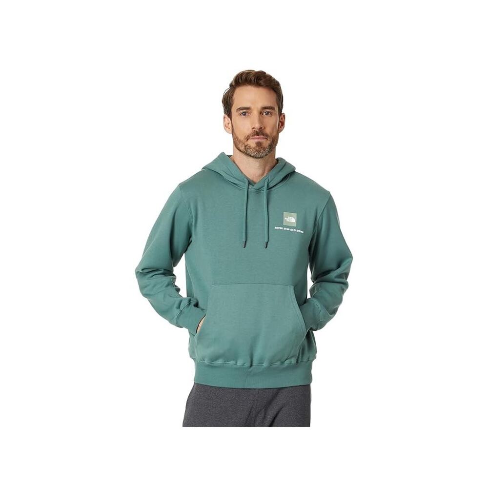 The North Face Box NSE Pullover Hoodie (Dark Sage/Misty Sage) M
